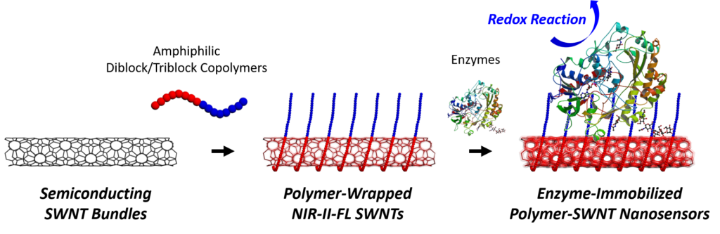 Development of Nanoscale Biological Probes – Landry Lab at UC Berkeley